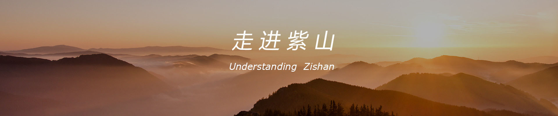 Enter Zishan