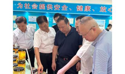 Leaders of the Provincial Customs Commission Visited Zishan for Research and Guidance
