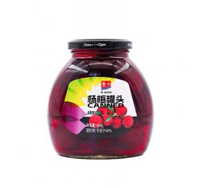 紫山杨梅罐头 450g